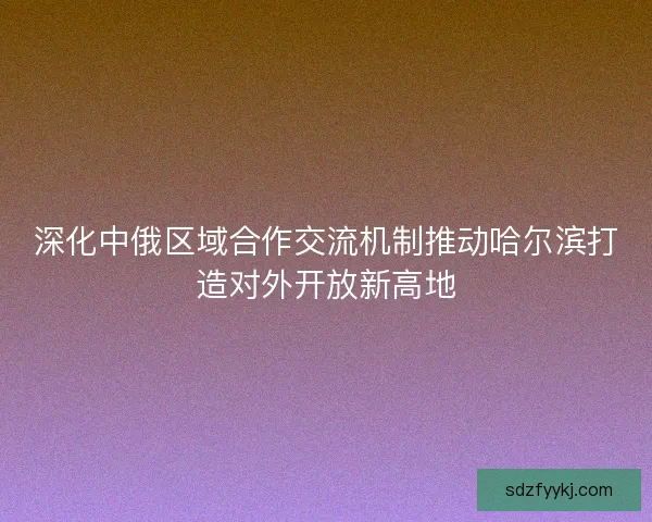 深化中俄区域合作交流机制推动哈尔滨打造对外开放新高地